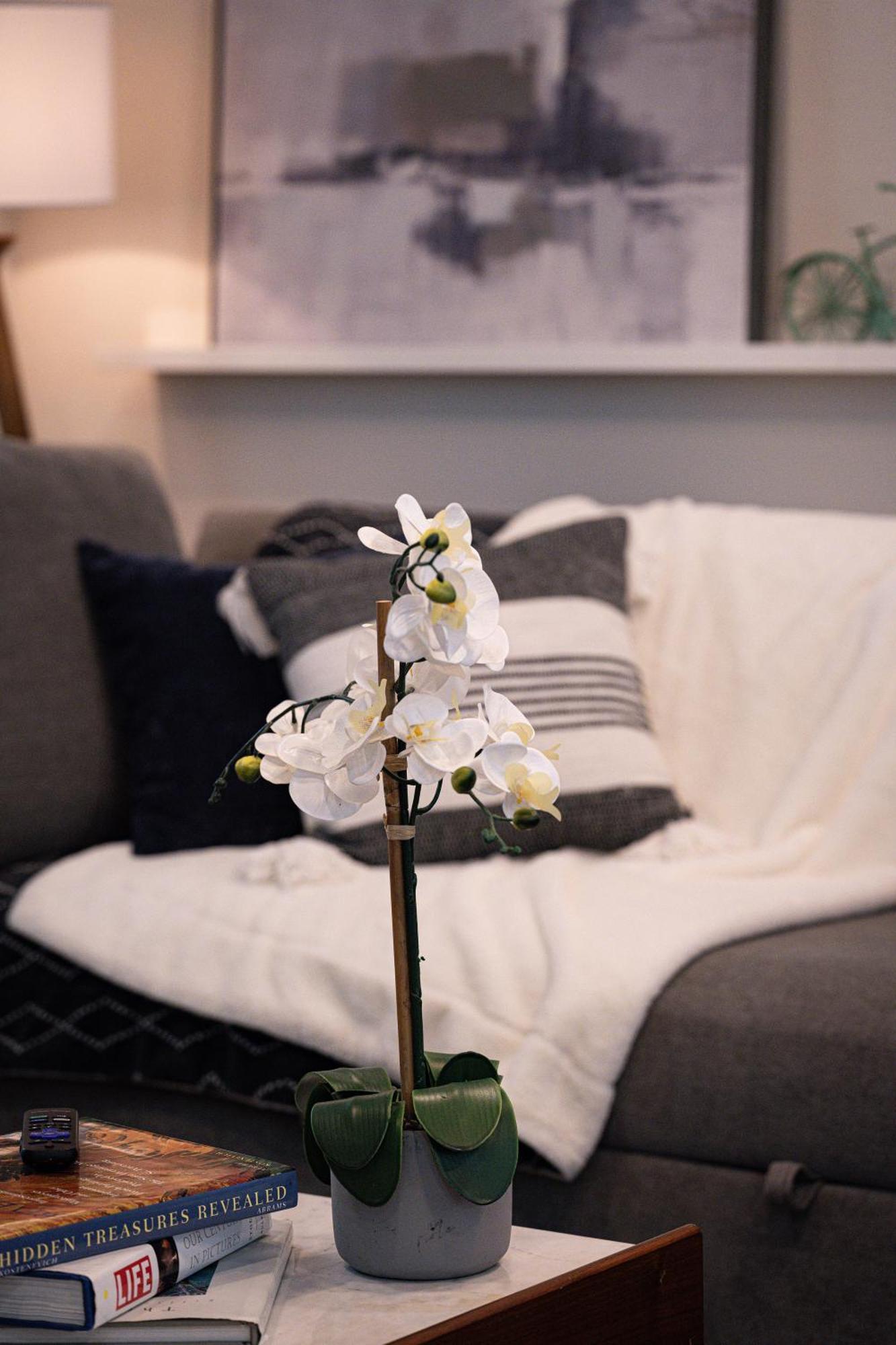 Shares Courtyard Luxury Apt - New! Rockledge Exteriér fotografie